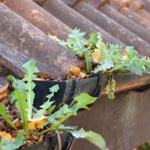 Leaves and weeds in a gutter will cause blockage when it rains